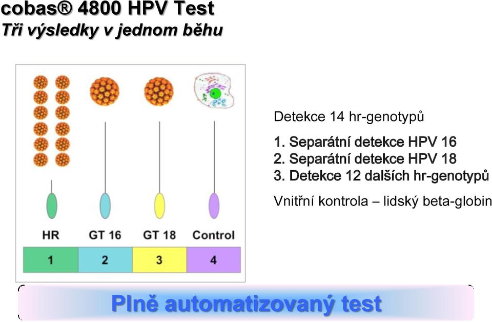 Separátní detekce HPV 18 3.