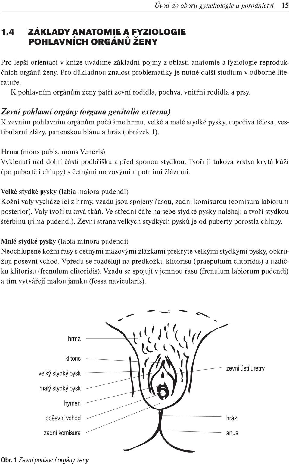 Pro důkladnou znalost problematiky je nutné další studium v odborné literatuře. K pohlavním orgánům ženy patří zevní rodidla, pochva, vnitřní rodidla a prsy.