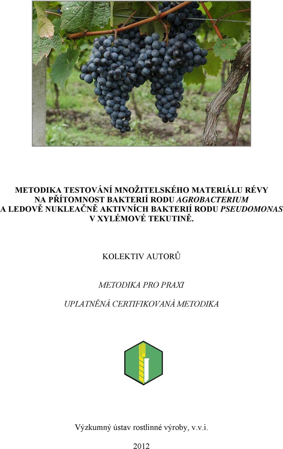 RODU PSEUDOMONAS V XYLÉMOVÉ TEKUTINĚ.