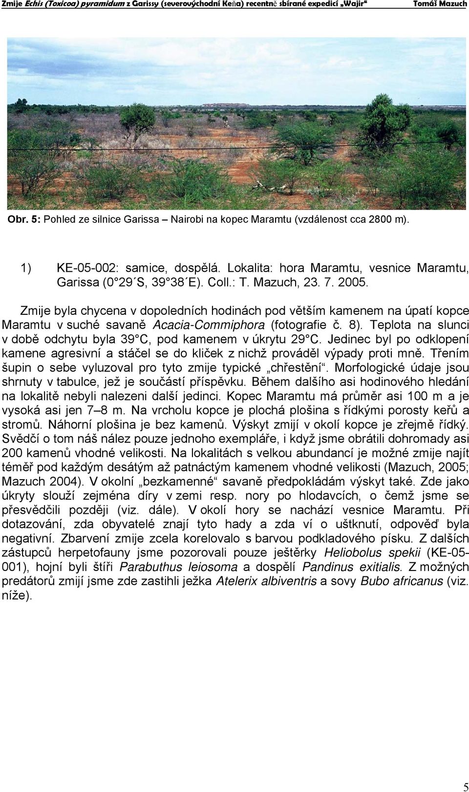 Teplota na slunci v době odchytu byla 39 C, pod kamenem v úkrytu 29 C. Jedinec byl po odklopení kamene agresivní a stáčel se do kliček z nichž prováděl výpady proti mně.