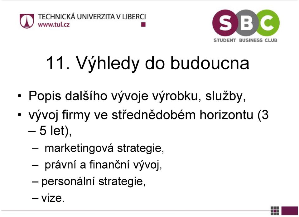 horizontu (3 5 let), marketingová strategie,