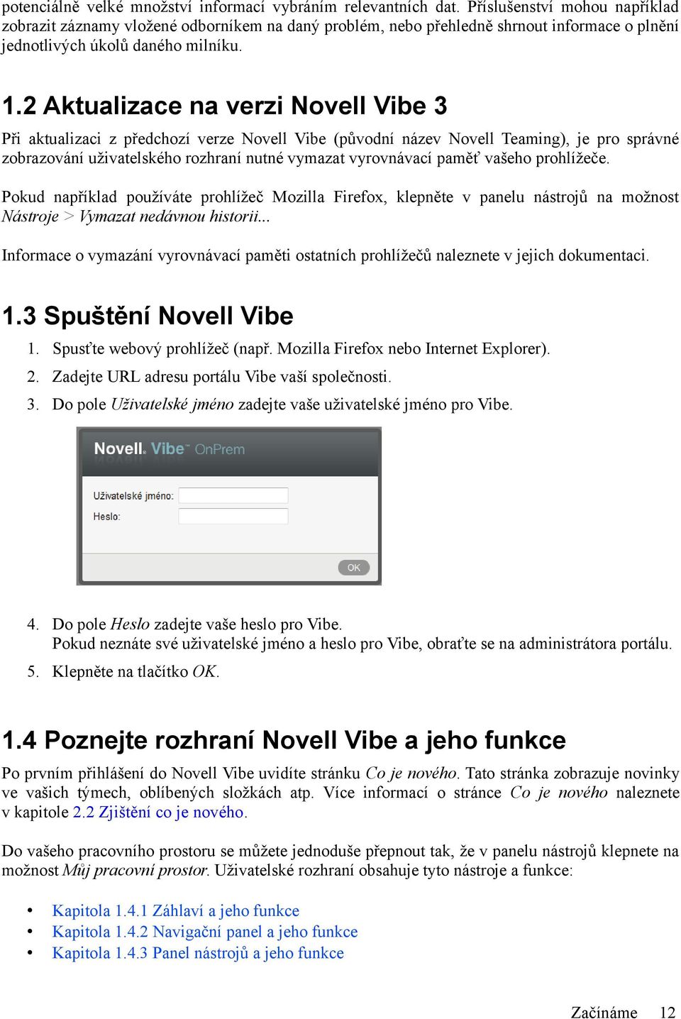 2 Aktualizace na verzi Novell Vibe 3 Při aktualizaci z předchozí verze Novell Vibe (původní název Novell Teaming), je pro správné zobrazování uživatelského rozhraní nutné vymazat vyrovnávací paměť