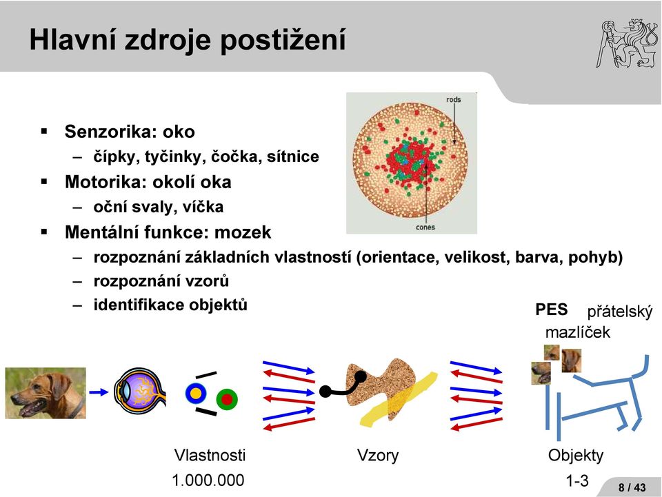 základních vlastností (orientace, velikost, barva, pohyb) rozpoznání vzorů