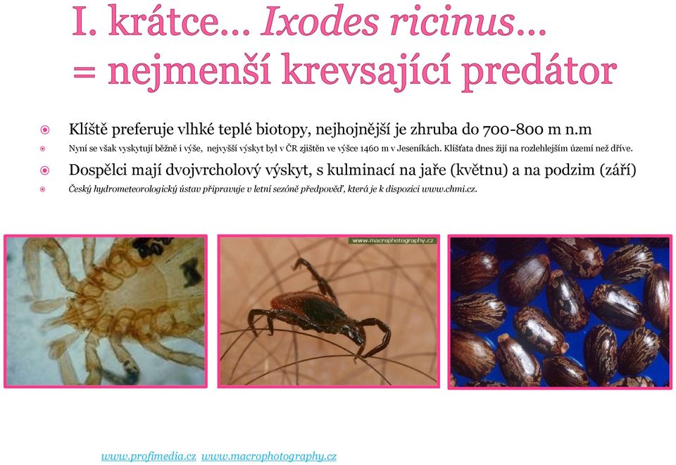 Klíšťata dnes žijí na rozlehlejším území než dříve.