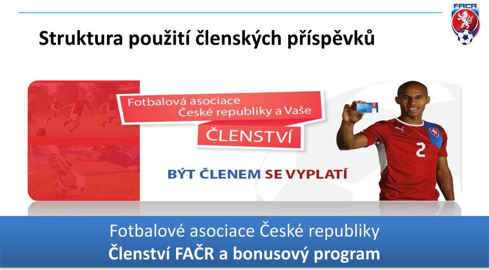 Fotbalové asociace České