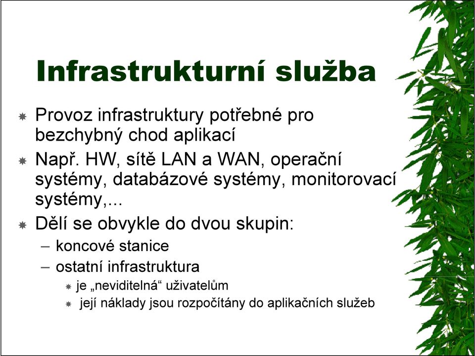 HW, sítě LAN a WAN, operační systémy, databázové systémy, monitorovací systémy,.