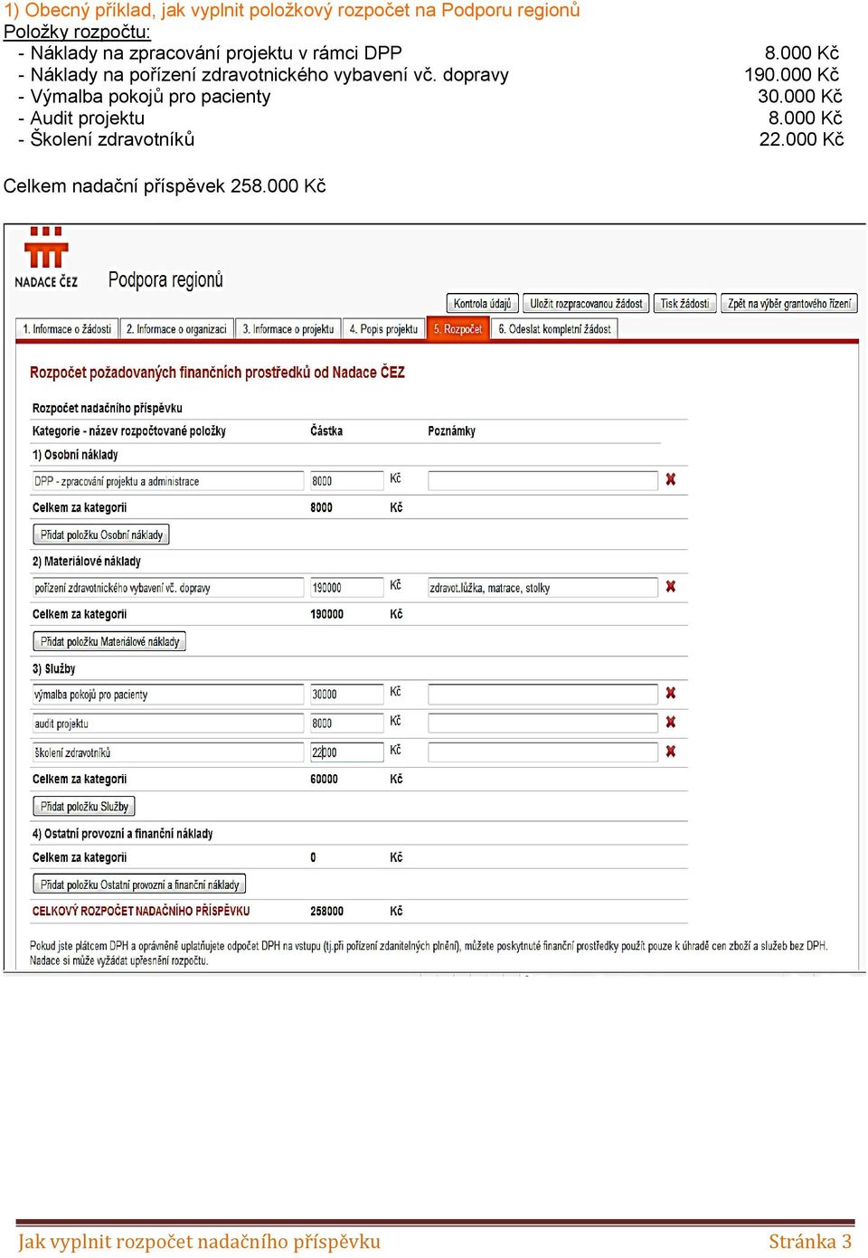 dopravy 190.000 Kč - Výmalba pokojů pro pacienty 30.000 Kč - Audit projektu 8.