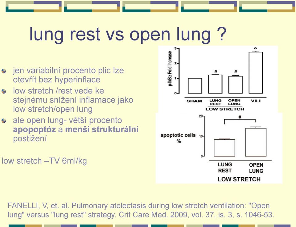 inflamace jako low stretch/open lung ale open lung- větší procento apopoptóz a menší strukturální