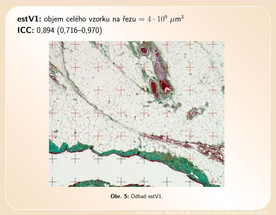 µm 3 ICC: 0,894 (0,716
