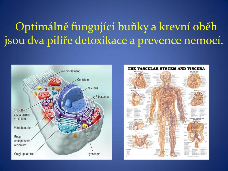 jsou dva pilíře