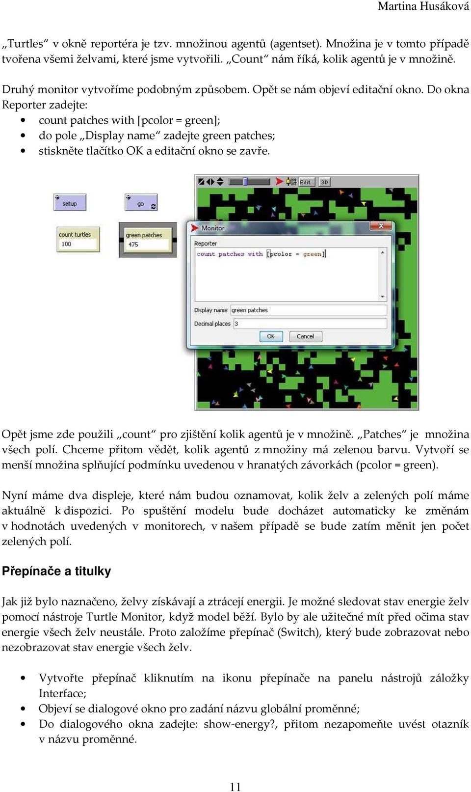 Do okna Reporter zadejte: count patches with [pcolor = green; do pole Display name zadejte green patches; stiskněte tlačítko OK a editační okno se zavře.