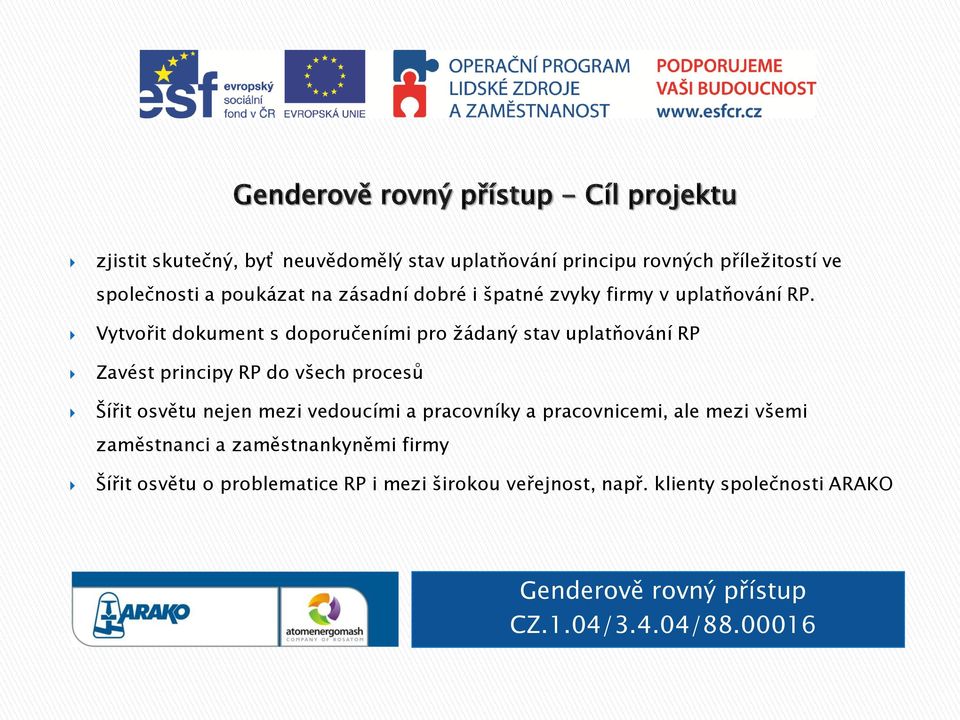 Vytvořit dokument s doporučeními pro žádaný stav uplatňování RP Zavést principy RP do všech procesů Šířit osvětu nejen