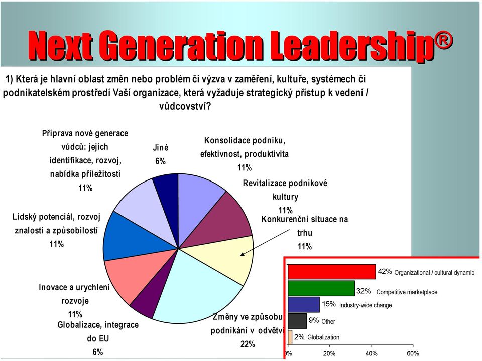 Příprava nové generace vůdců: jejich identifikace, rozvoj, nabídka příležitostí Lidský potenciál, rozvoj znalostí a způsobilostí Jiné 6% Konsolidace podniku,
