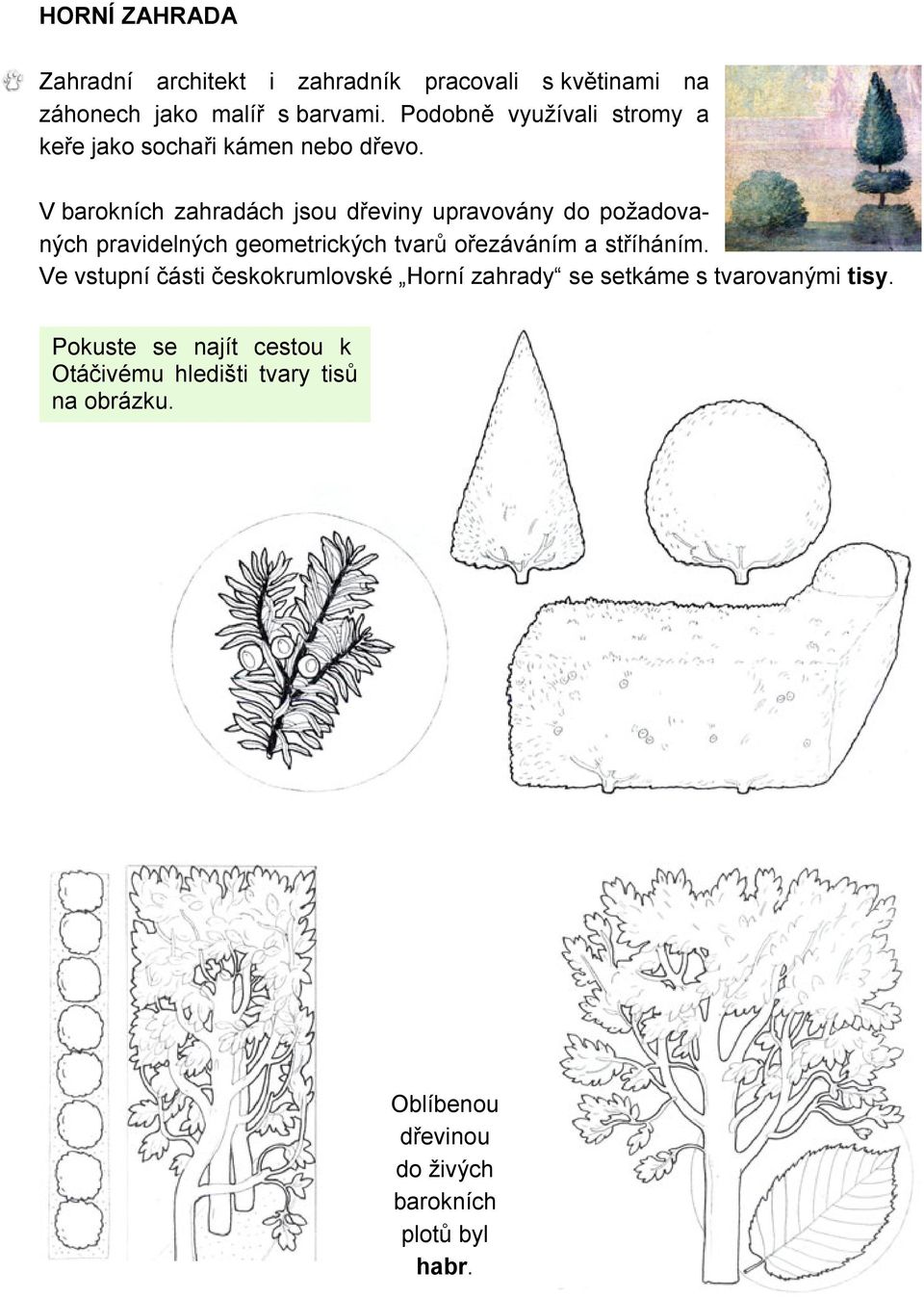 V barokních zahradách jsou dřeviny upravovány do požadovaných pravidelných geometrických tvarů ořezáváním a stříháním.