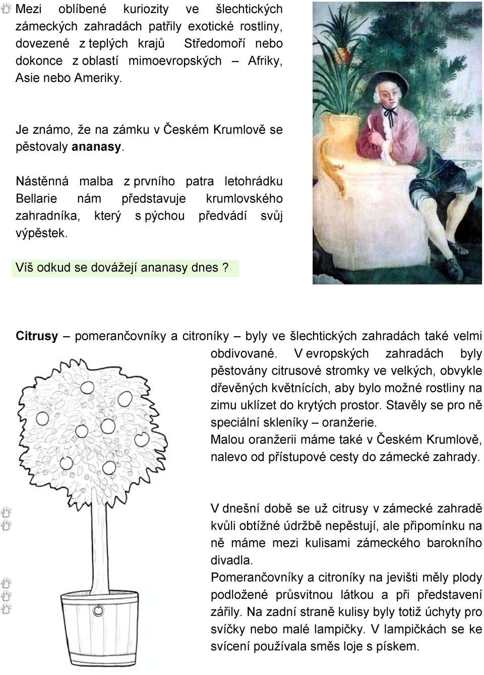 Víš odkud se dovážejí ananasy dnes? Citrusy pomerančovníky a citroníky byly ve šlechtických zahradách také velmi obdivované.