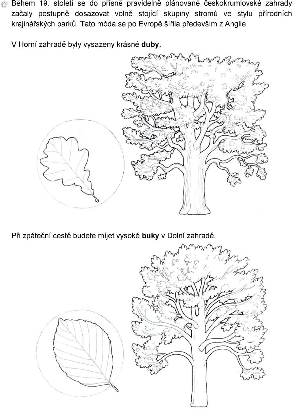 dosazovat volně stojící skupiny stromů ve stylu přírodních krajinářských parků.