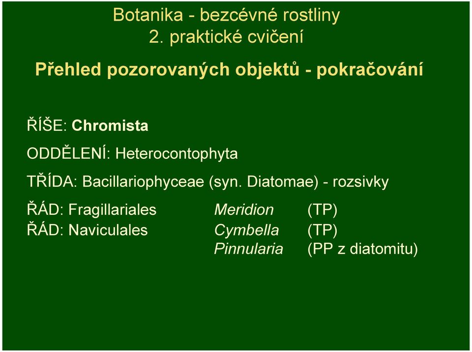 Chromista ODDĚLENÍ: Heterocontophyta TŘÍDA: Bacillariophyceae (syn.