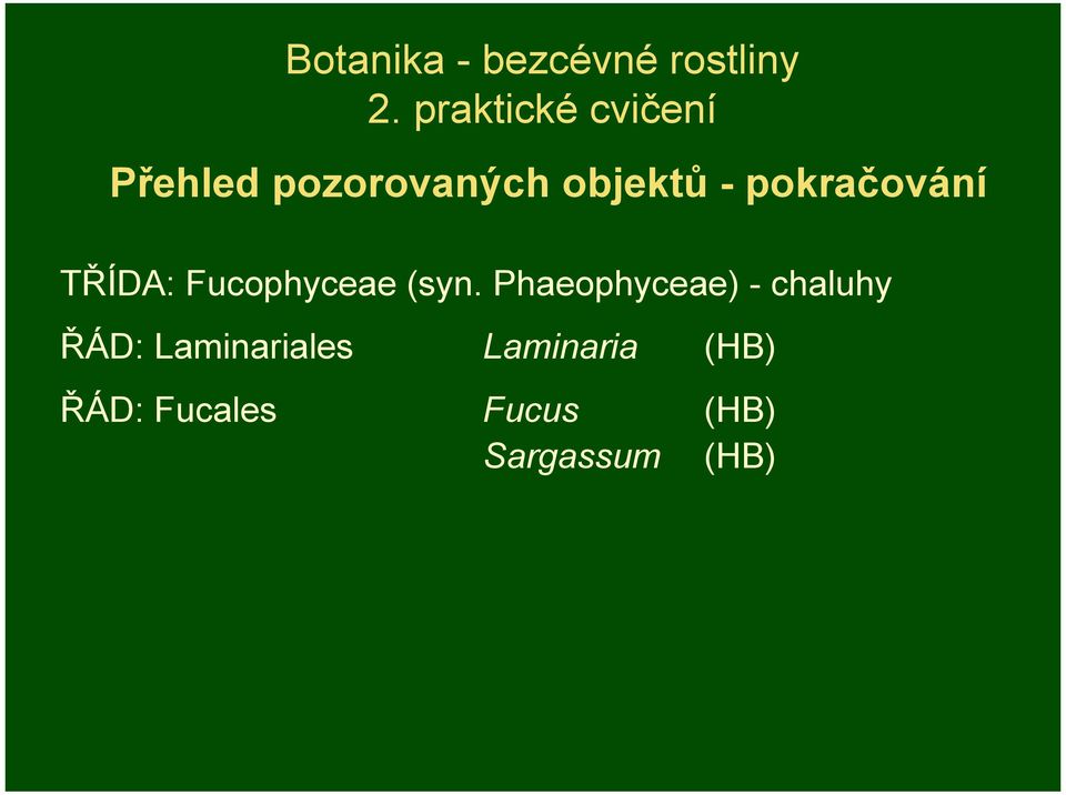 pokračování TŘÍDA: Fucophyceae (syn.