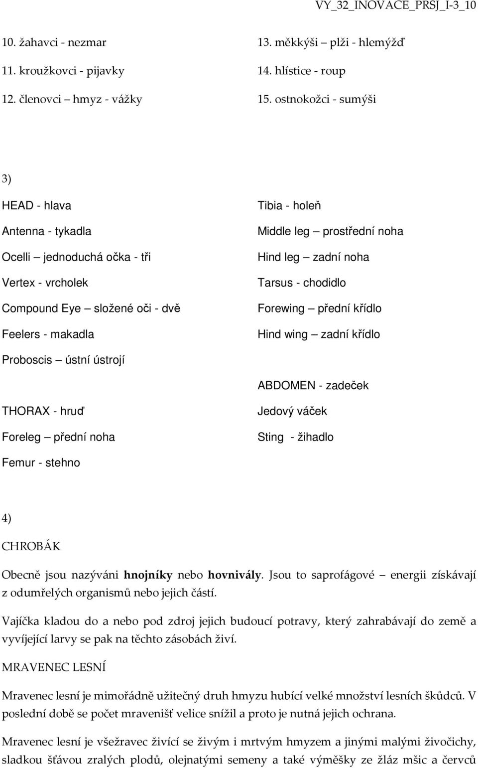 zadní noha Tarsus - chodidlo Forewing přední křídlo Hind wing zadní křídlo Proboscis ústní ústrojí ABDOMEN - zadeček THORAX - hruď Foreleg přední noha Jedový váček Sting - žihadlo Femur - stehno 4)