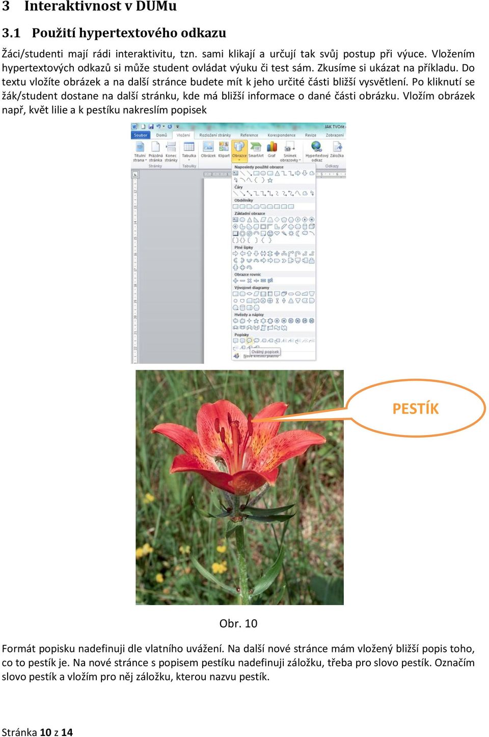Po kliknutí se žák/student dostane na další stránku, kde má bližší informace o dané části obrázku. Vložím obrázek např, květ lilie a k pestíku nakreslím popisek PESTÍK Obr.