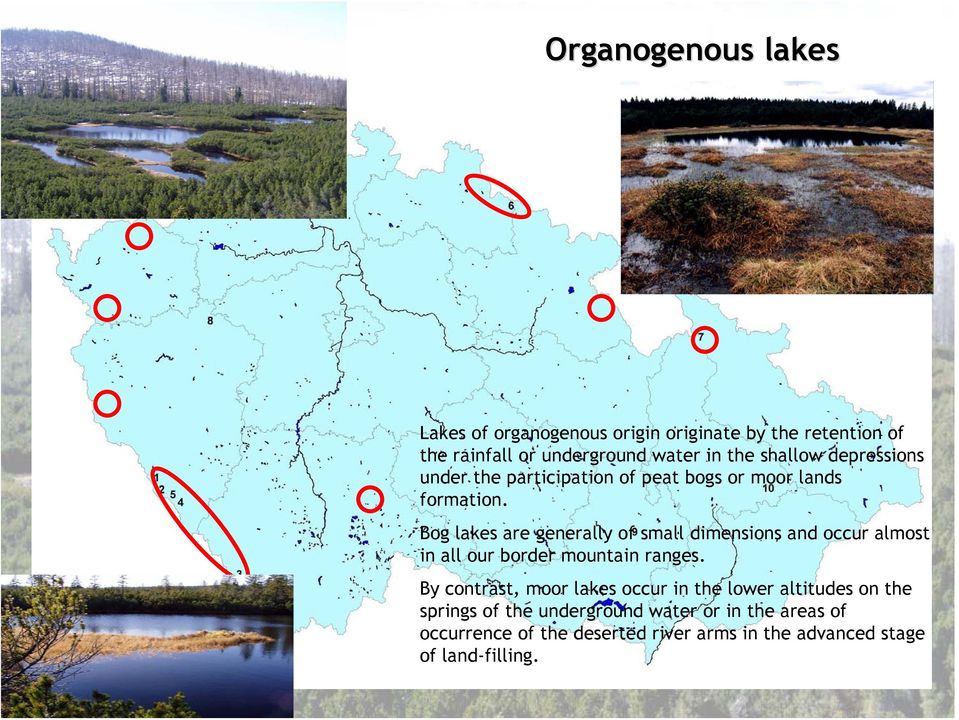 Bog lakes are generally of small dimensions and occur almost in all our border mountain ranges.