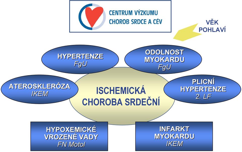 CHOROBA SRDEČNÍ PLICNÍ HYPERTENZE 2.