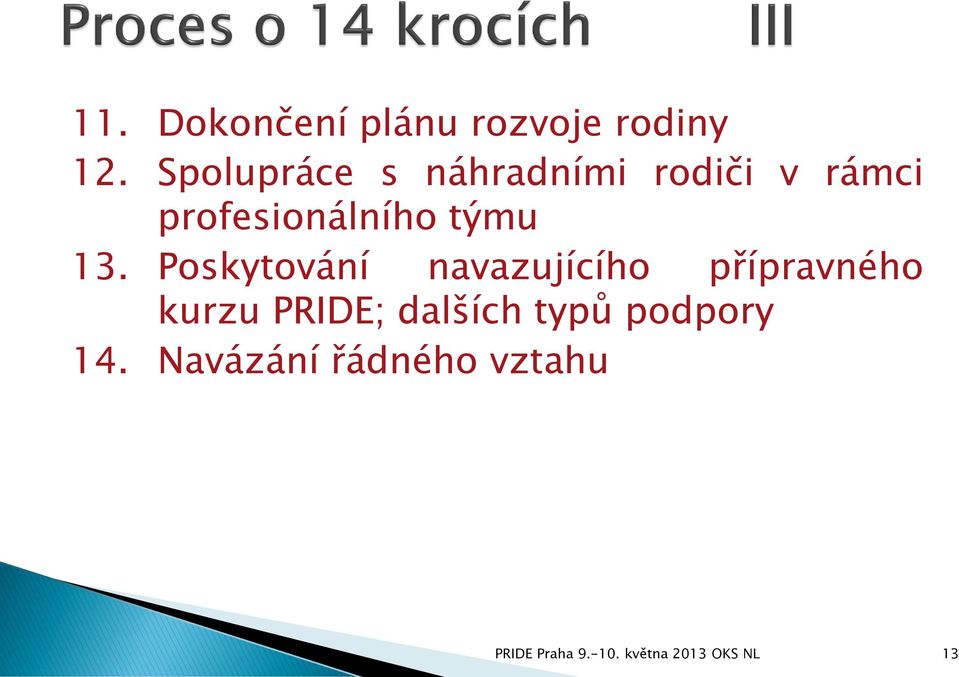 13. Poskytování navazujícího přípravného kurzu PRIDE;