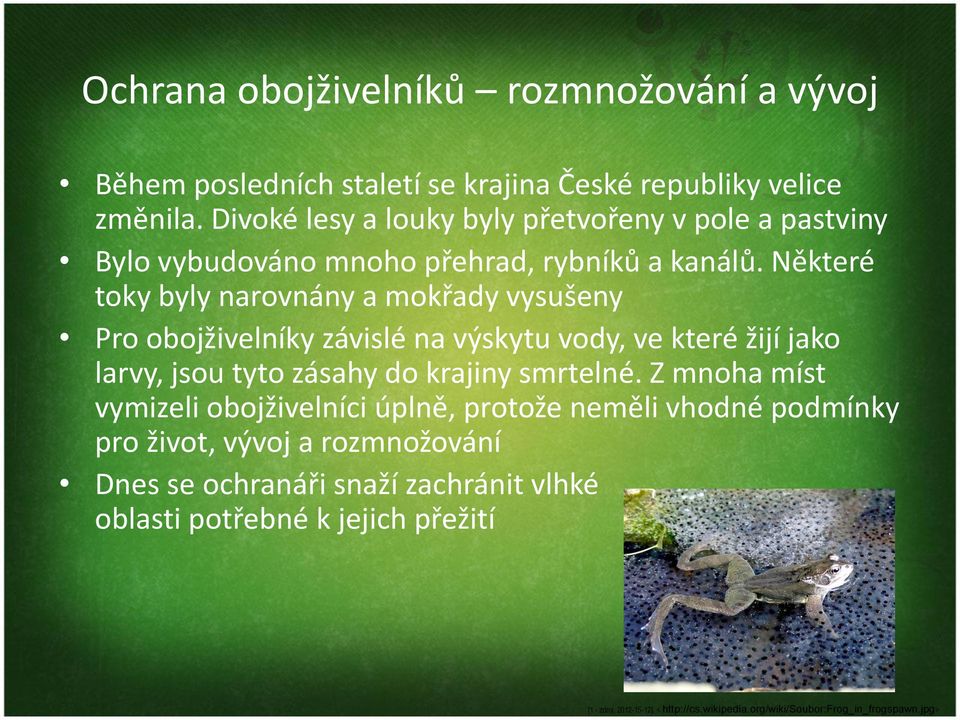 Některé toky byly narovnány a mokřady vysušeny Pro obojživelníky závislé na výskytu vody, ve které žijí jako larvy, jsou tyto zásahy do krajiny smrtelné.