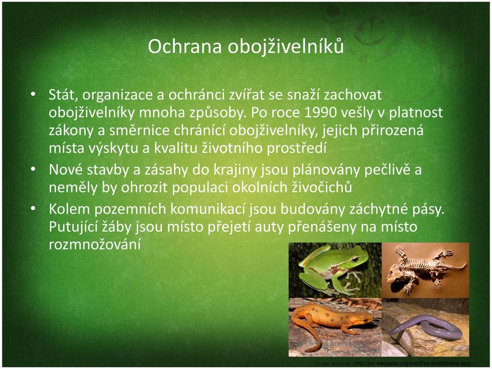 Nové stavby a zásahy do krajiny jsou plánovány pečlivě a neměly by ohrozit populaci okolních živočichů Kolem pozemních komunikací jsou