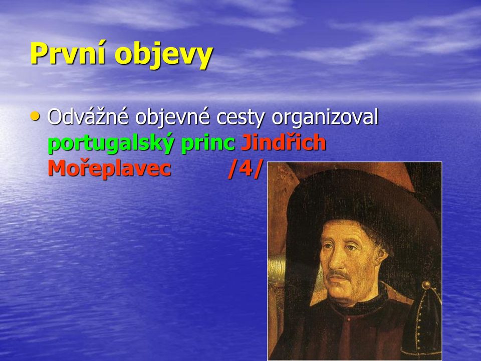 organizoval