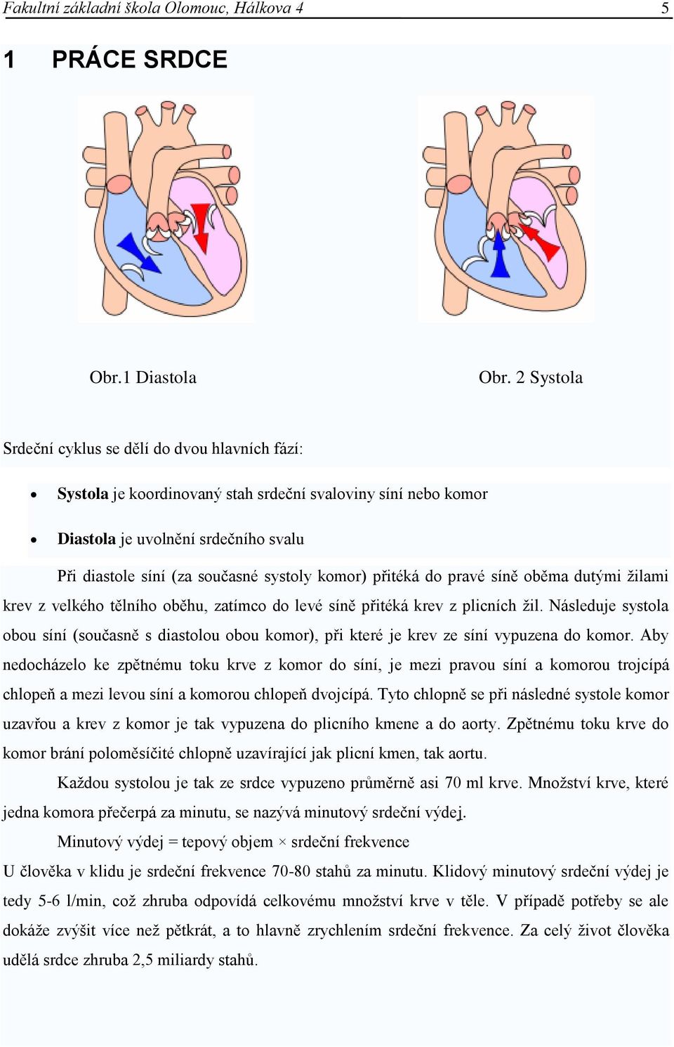 komor) přitéká do pravé síně oběma dutými žilami krev z velkého tělního oběhu, zatímco do levé síně přitéká krev z plicních žil.