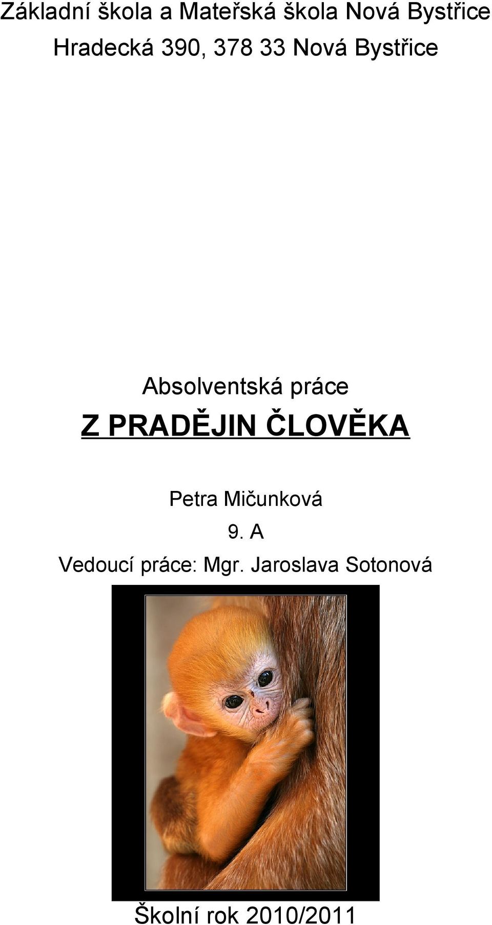 práce Z PRADĚJIN ČLOVĚKA Petra Mičunková 9.