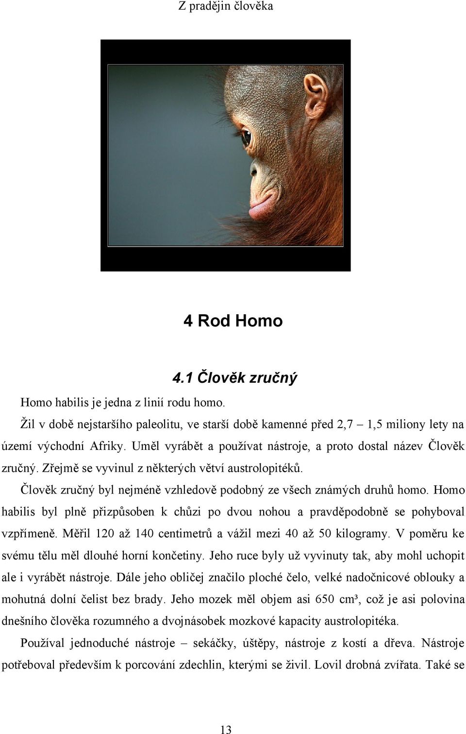 Homo habilis byl plně přizpůsoben k chůzi po dvou nohou a pravděpodobně se pohyboval vzpřímeně. Měřil 120 až 140 centimetrů a vážil mezi 40 až 50 kilogramy.