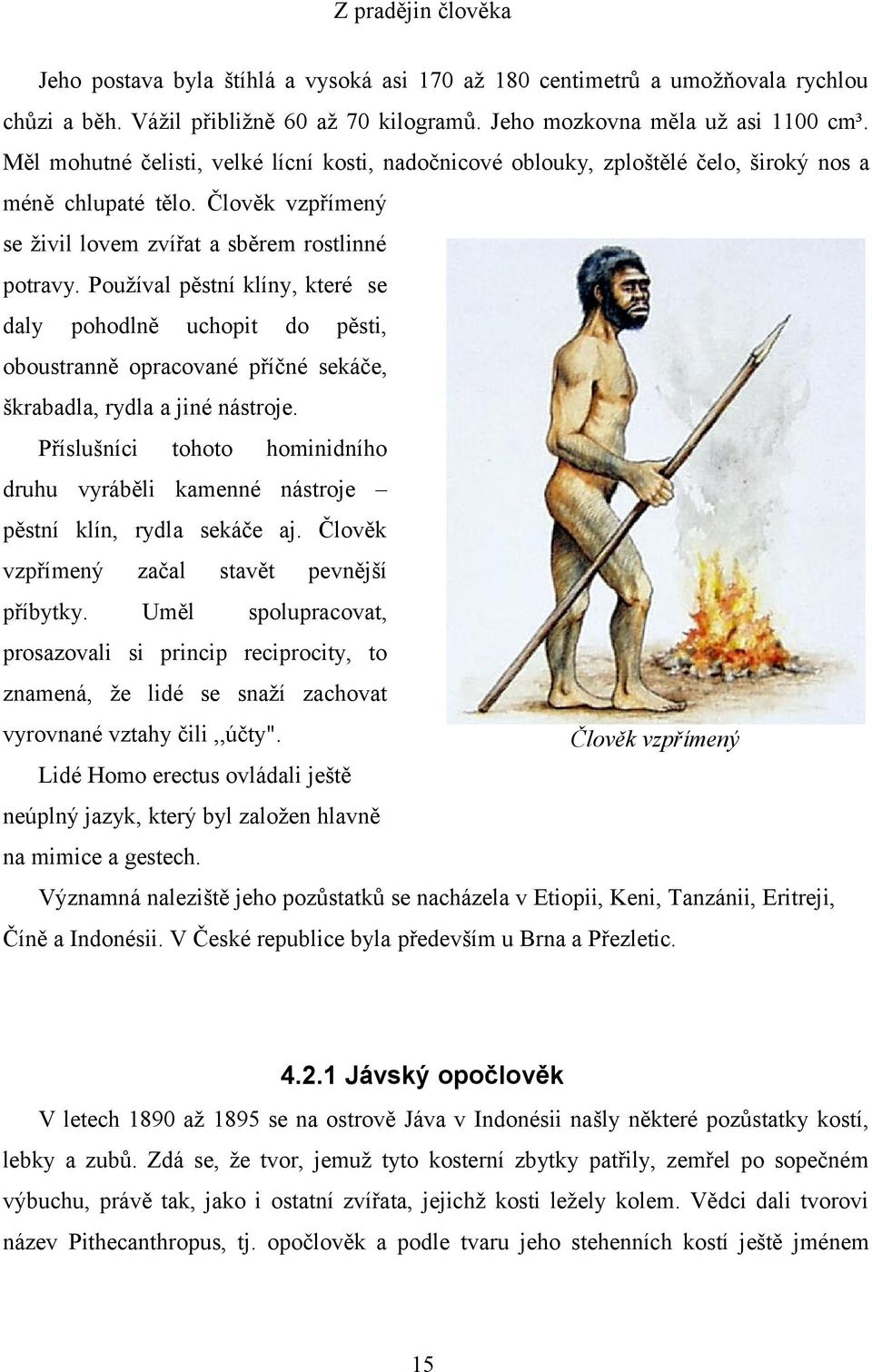 Používal pěstní klíny, které se daly pohodlně uchopit do pěsti, oboustranně opracované příčné sekáče, škrabadla, rydla a jiné nástroje.