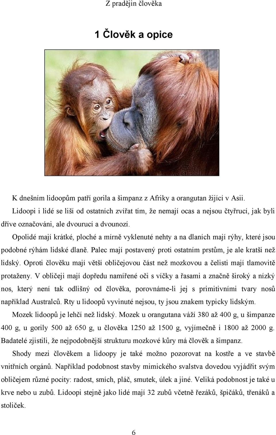 Opolidé mají krátké, ploché a mírně vyklenuté nehty a na dlaních mají rýhy, které jsou podobné rýhám lidské dlaně. Palec mají postavený proti ostatním prstům, je ale kratší než lidský.