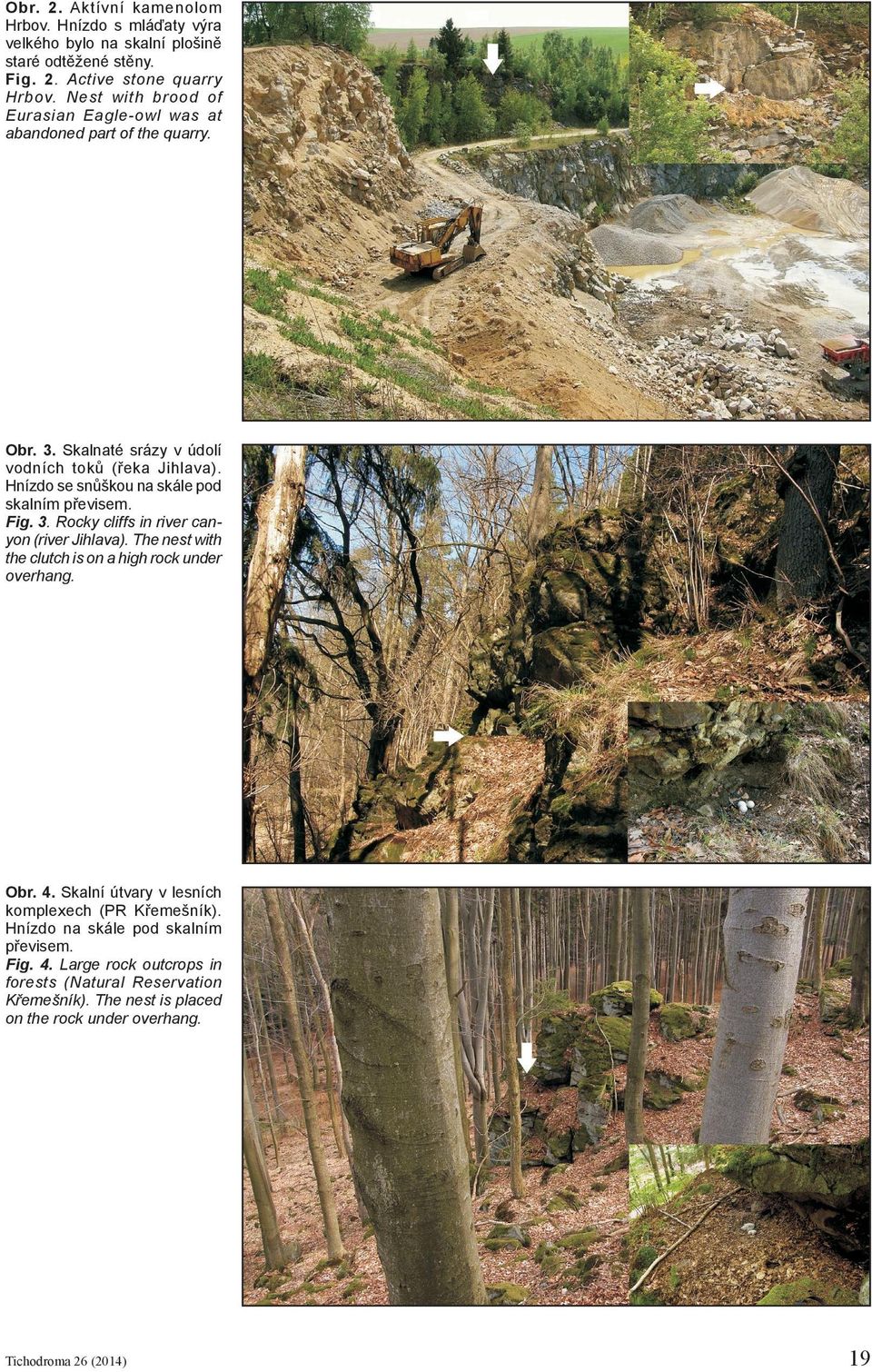 Hnízdo se snůškou na skále pod skalním převisem. Fig. 3. Rocky cliffs in river canyon (river Jihlava). The nest with the clutch is on a high rock under overhang. Obr. 4.
