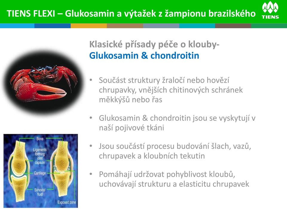 Glukosamin & chondroitin jsou se vyskytují v naší pojivové tkáni Jsou součástí procesu budování šlach,