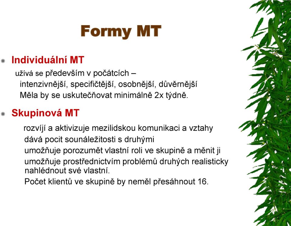 Skupinová MT rozvíjí a aktivizuje mezilidskou komunikaci a vztahy dává pocit sounáležitosti s druhými