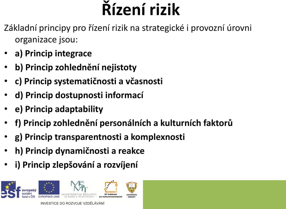 dostupnosti informací e) Princip adaptability f) Princip zohlednění personálních a kulturních faktorů