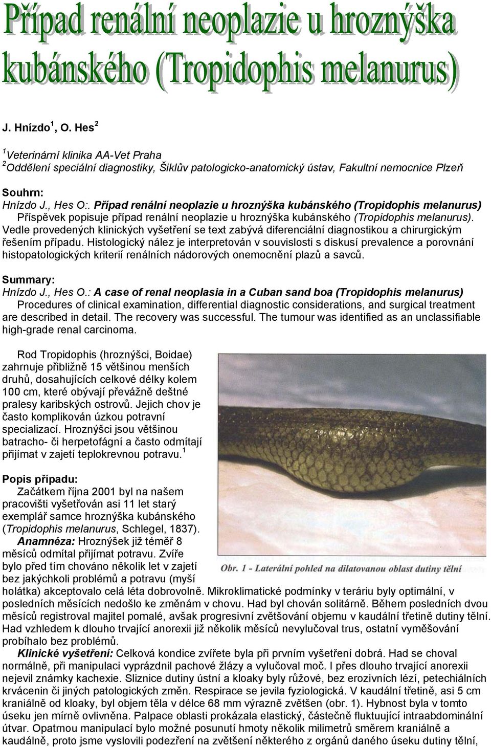 Vedle provedených klinických vyšetření se text zabývá diferenciální diagnostikou a chirurgickým řešením případu.