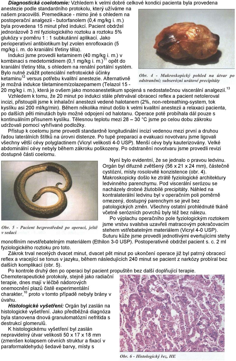 Pacient obdržel jednorázově 3 ml fyziologického roztoku a roztoku 5% glukózy v poměru 1 : 1 subkutánní aplikací. Jako perioperativní antibiotikum byl zvolen enrofloxacin (5 mg/kg i. m. do kraniální třetiny těla).