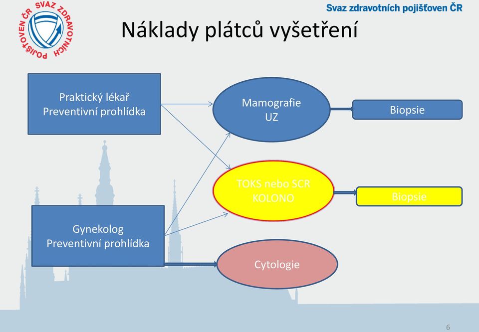 UZ Biopsie TOKS nebo SCR KOLONO Biopsie