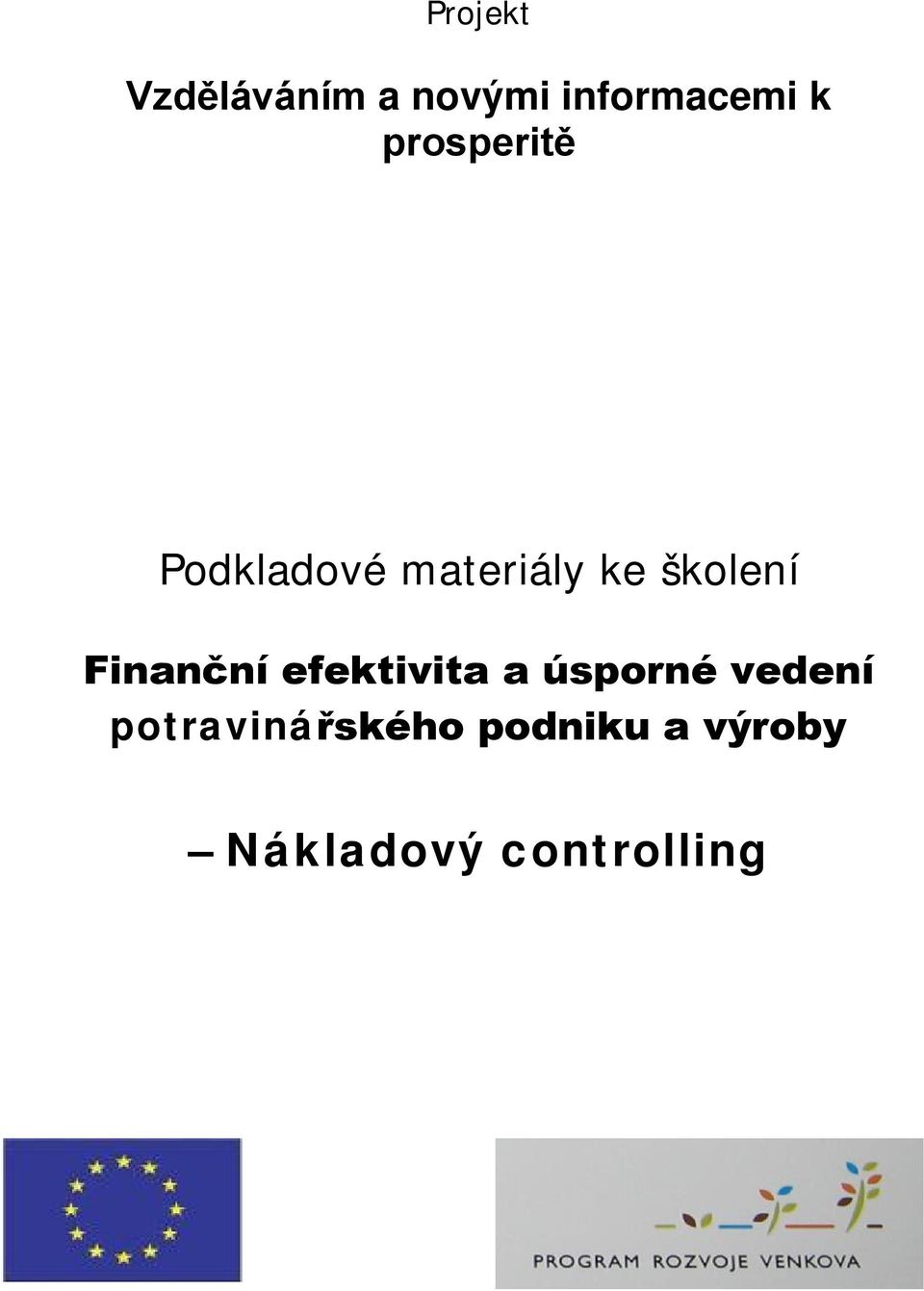Finanční efektivita a úsporné vedení