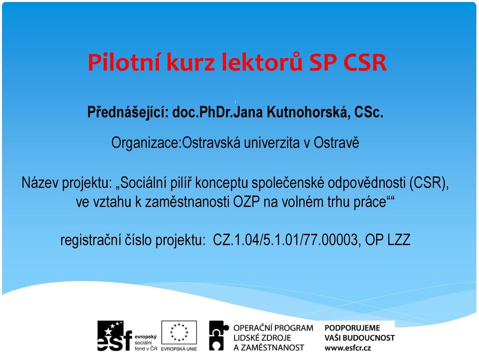 konceptu společenské odpovědnosti (CSR), ve vztahu k zaměstnanosti OZP na