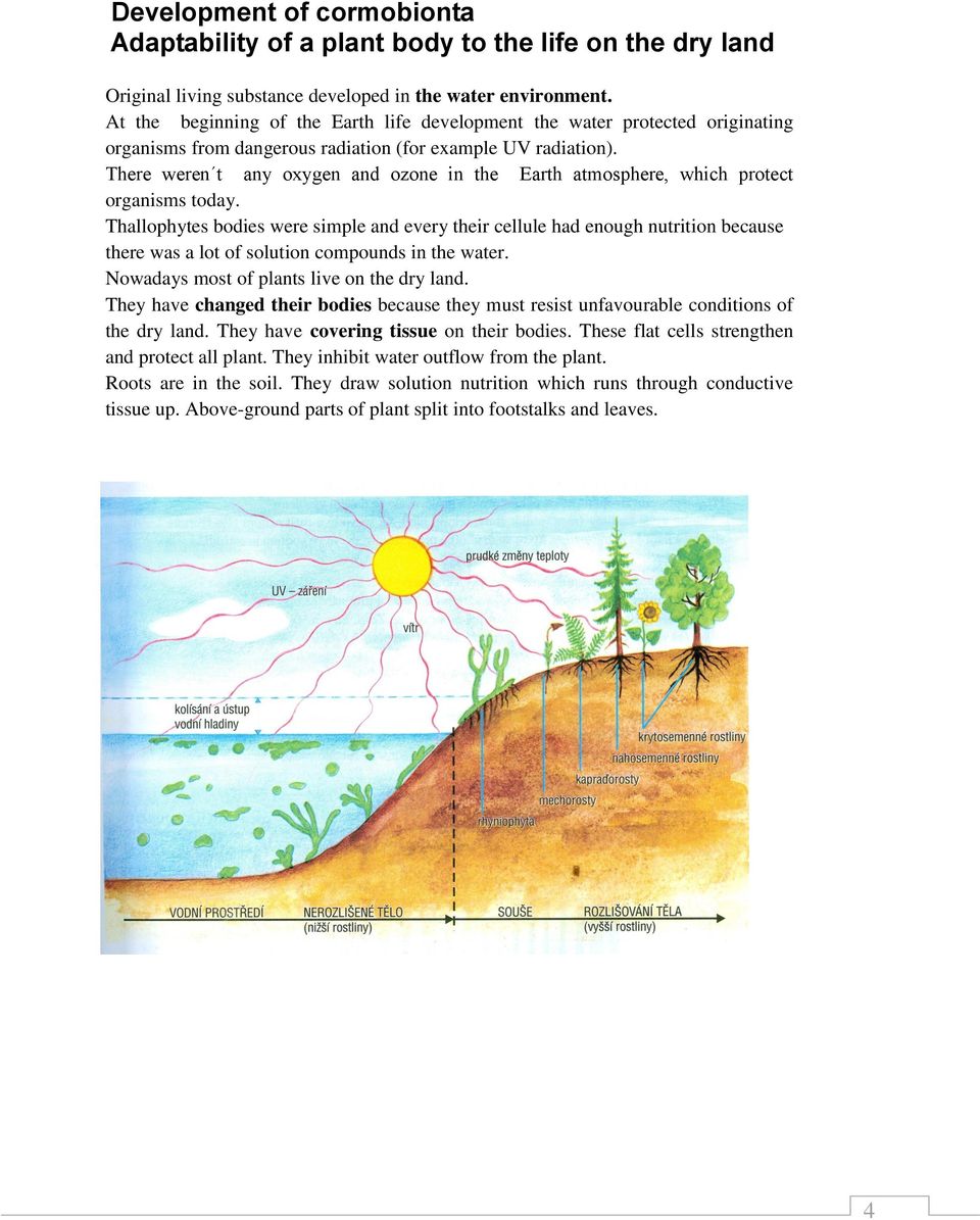 There weren t any oxygen and ozone in the Earth atmosphere, which protect organisms today.