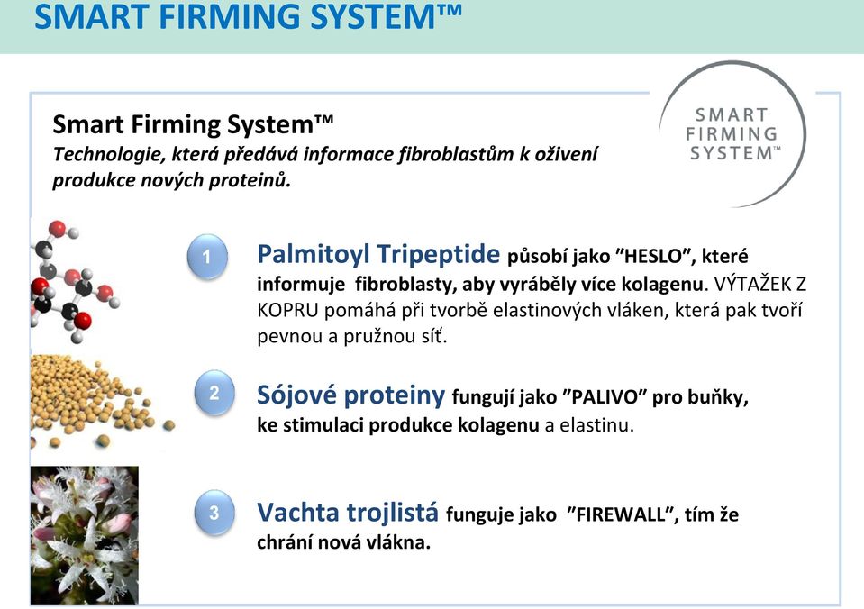 VÝTAŽEK Z KOPRU pomáhá při tvorbě elastinových vláken, která pak tvoří pevnou a pružnou síť.