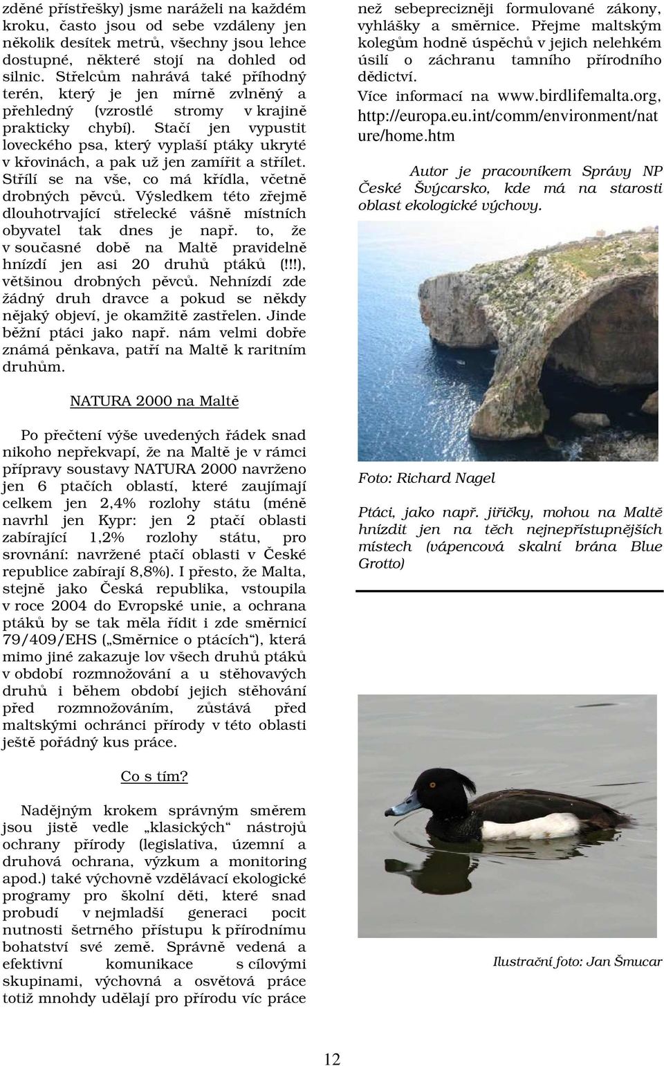 Stačí jen vypustit loveckého psa, který vyplaší ptáky ukryté v křovinách, a pak už jen zamířit a střílet. Střílí se na vše, co má křídla, včetně drobných pěvců.