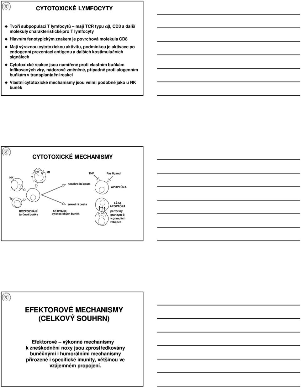 změněné, případně proti alogenním buňkám v transplantační reakci Vlastní cytotoxické mechanismy jsou velmi podobné jako u NK buněk CYTOTOXICKÉ MECHANISMY NK Mf TNF Fas ligand nesekreční cesta