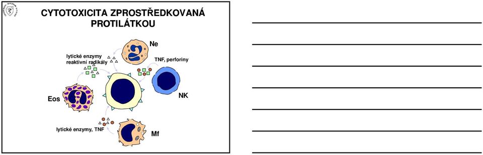 reaktivní radikály TNF,