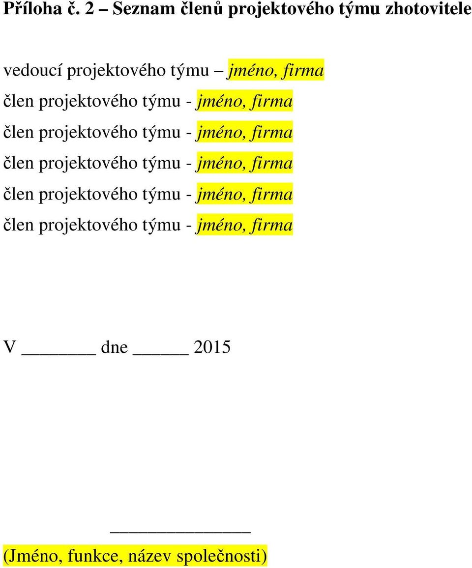 firma člen projektového týmu - jméno, firma člen projektového týmu - jméno, firma